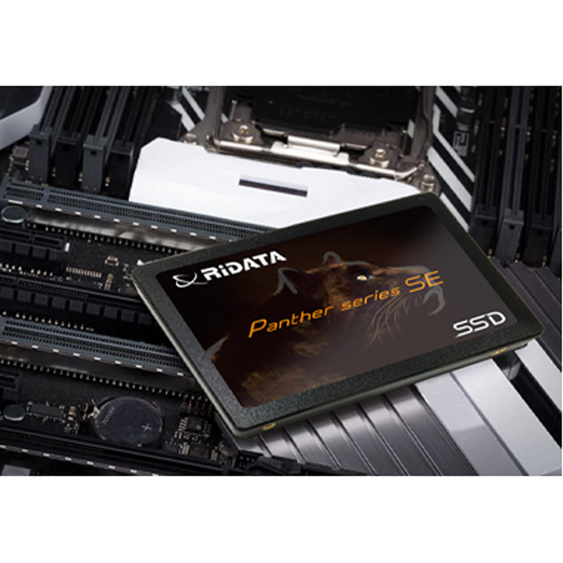 حافظه SSD ری دیتا RiDATA PANTHER 120 GB