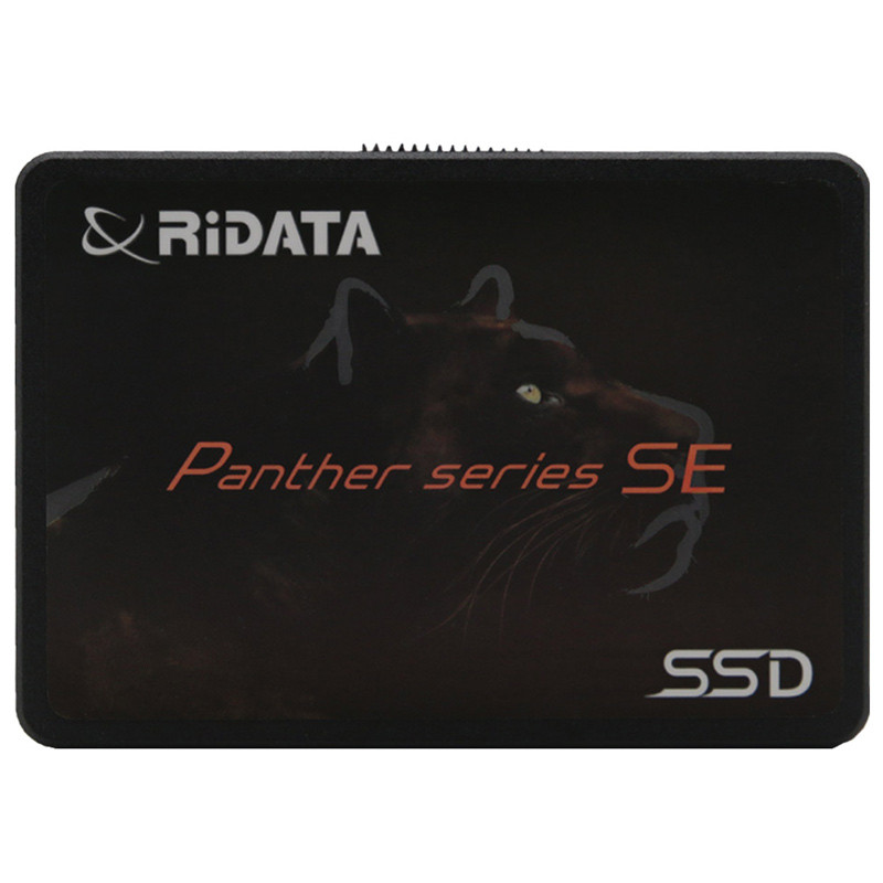 حافظه SSD ری دیتا RIDATA PANTHER 240GB