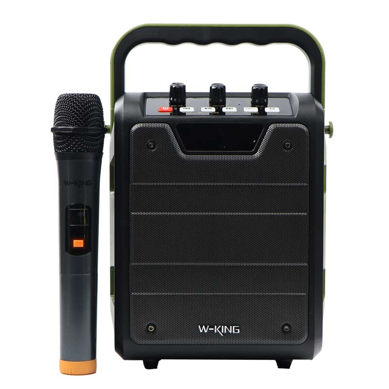 اسپیکر بلوتوثی رم و فلش خور W-King H2 20W + میکروفون و ریموت