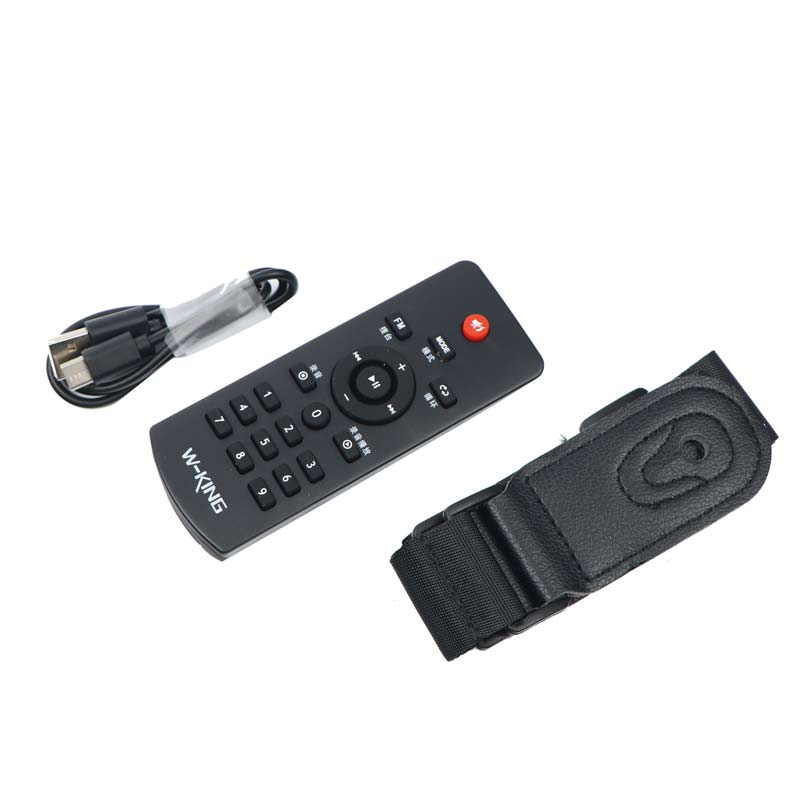اسپیکر بلوتوثی رم و فلش خور W-King H2 20W + میکروفون و ریموت