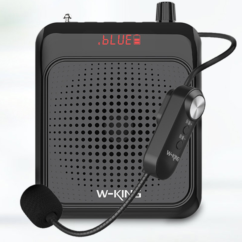 اسپیکر بلوتوثی رم و فلش خور W-King KS13 + میکروفون