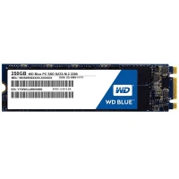 حافظه SSD وسترن دیجیتال Western Digital Blue 250GB M.2