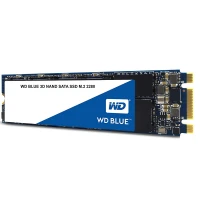 حافظه SSD وسترن دیجیتال Western Digital Blue 500GB M.2