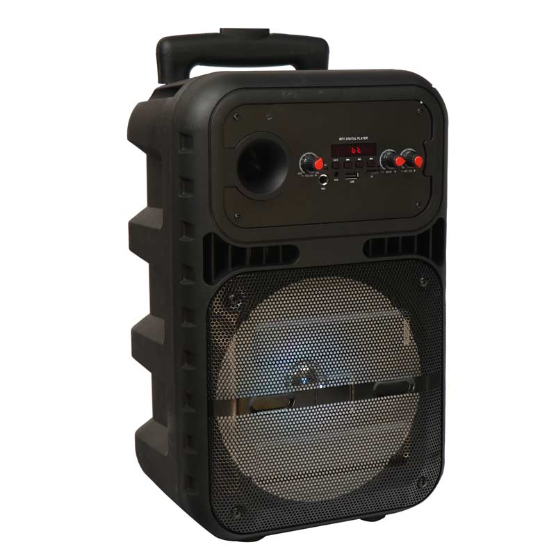 اسپیکر چمدانی بلوتوثی رم و فلش خور BDT BD-8001 + میکروفون و ریموت کنترل