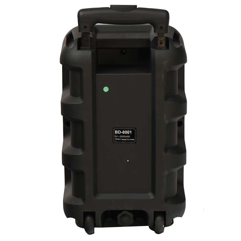اسپیکر چمدانی بلوتوثی رم و فلش خور BDT BD-8001 + میکروفون و ریموت کنترل