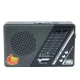 رادیو اسپیکر بلوتوثی رم و فلش خور Fepe FP-9002BT