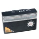 رادیو اسپیکر بلوتوثی رم و فلش خور Golon ICF-24BT