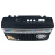 رادیو اسپیکر بلوتوثی رم و فلش خور Golon ICF-25BT