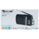 رادیو اسپیکر بلوتوثی رم و فلش خور Golon ICF-8BT