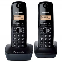 تلفن بی سیم Panasonic KX-TG1612