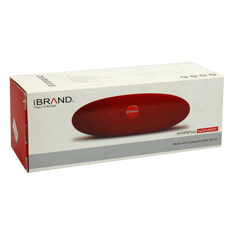اسپیکر بلوتوثی رم و فلش خور iBrand WS203