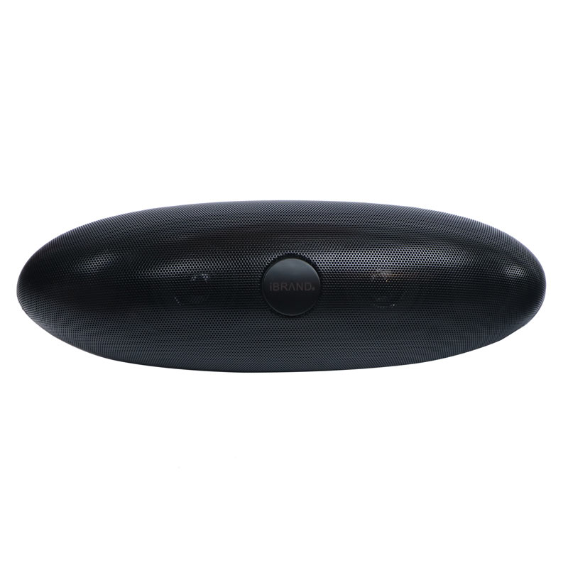 اسپیکر بلوتوثی رم و فلش خور iBrand WS203