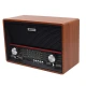 رادیو اسپیکر بلوتوثی رم و فلش خور PUXING PX-2002BT + ریموت کنترل