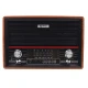 رادیو اسپیکر بلوتوثی رم و فلش خور PUXING PX-2002BT + ریموت کنترل