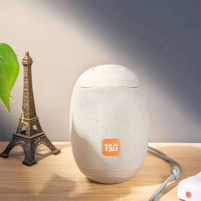 اسپیکر بلوتوثی رم و فلش خور T&G TG-529