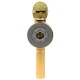 میکروفون و اسپیکر بلوتوثی رم و فلش خور Wster WS-668
