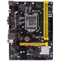 مادربورد بایوستار Biostar H110MHC