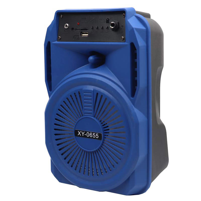 اسپیکر چمدانی بلوتوثی رم و فلش خور XY-0655