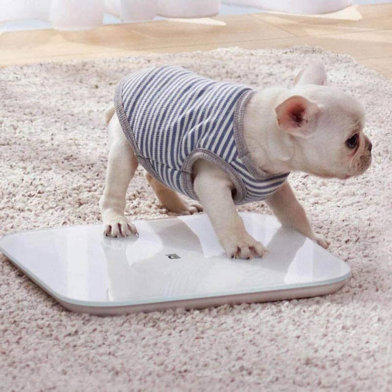 ترازو هوشمند xiaomi smart scale 2 xmtzc04hm