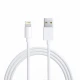 شارژ دیواری اورجینال iPhone 5W + کابل آیفونی
