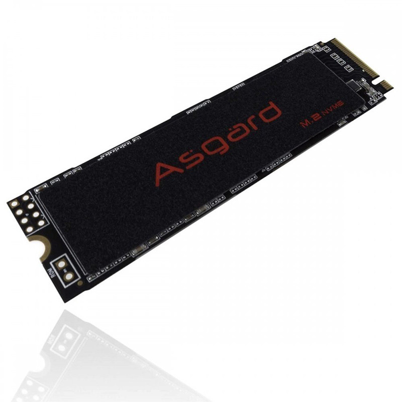 حافظه SSD ازگارد Asgard AN2 250GB M.2