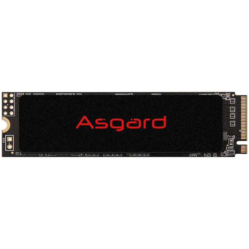 حافظه SSD ازگارد Asgard AN2 250GB M.2