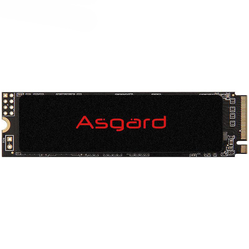 حافظه SSD ازگارد Asgard AN2 250GB M.2