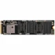 حافظه SSD ازگارد Asgard AN2 250GB M.2