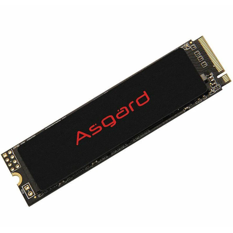 حافظه SSD ازگارد Asgard AN2 250GB M.2
