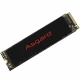 حافظه SSD ازگارد Asgard AN2 250GB M.2