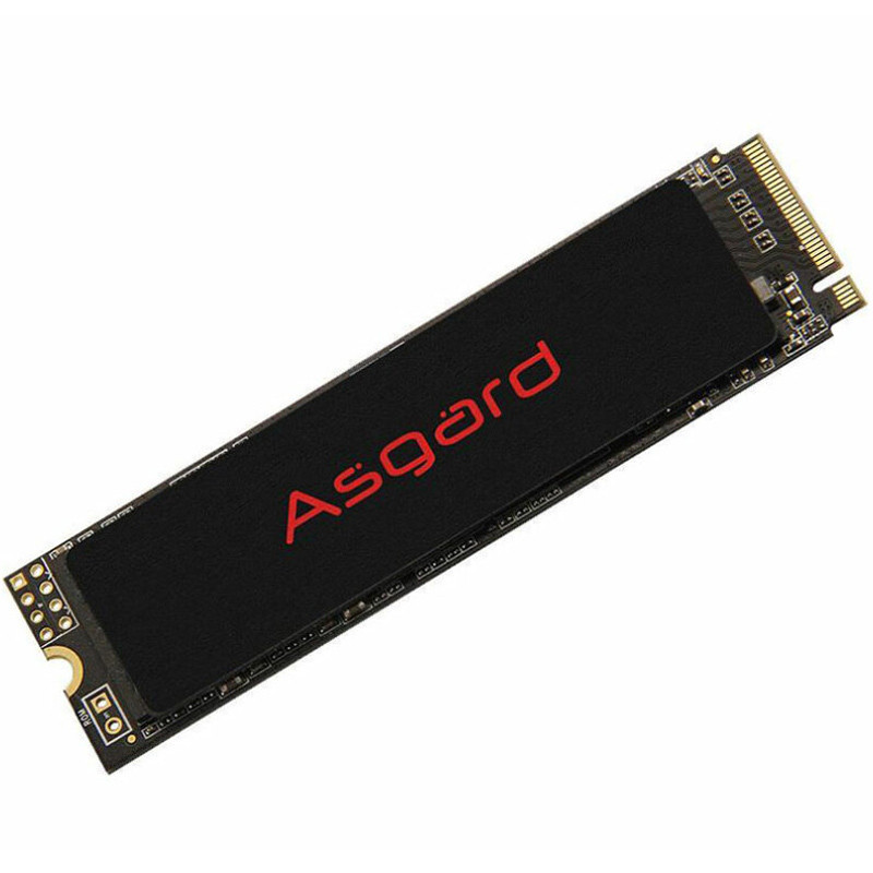 حافظه SSD ازگارد Asgard AN2 250GB M.2