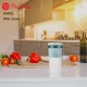 مخلوط کن شارژی پرووان PHP01