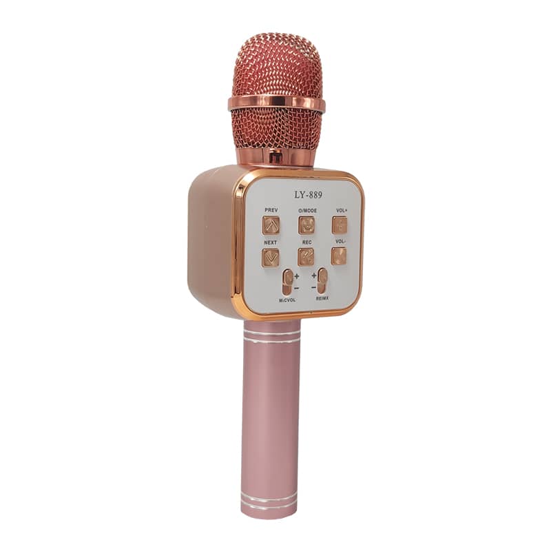 میکروفون اسپیکر LY-889