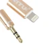 کابل Lightning به AUX نیتو NT-AUX010 طول 1 متر