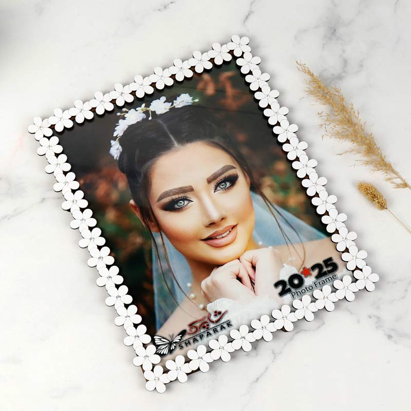 قاب عکس شاپرک 20*25 سانتی متر