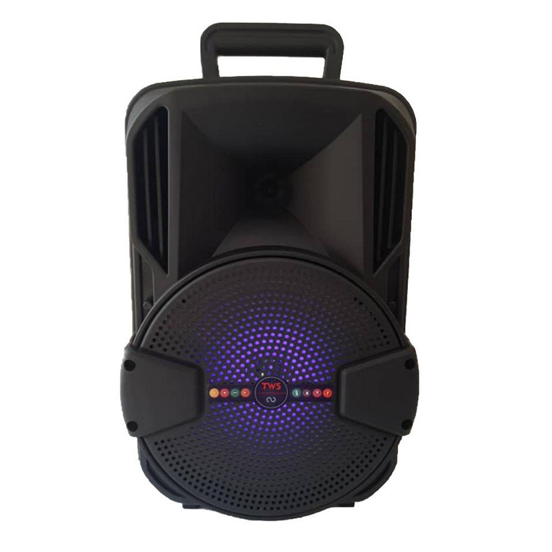 اسپیکر چمدانی بلوتوثی رم و فلش خور ALP-801 + میکروفون و ریموت کنترل