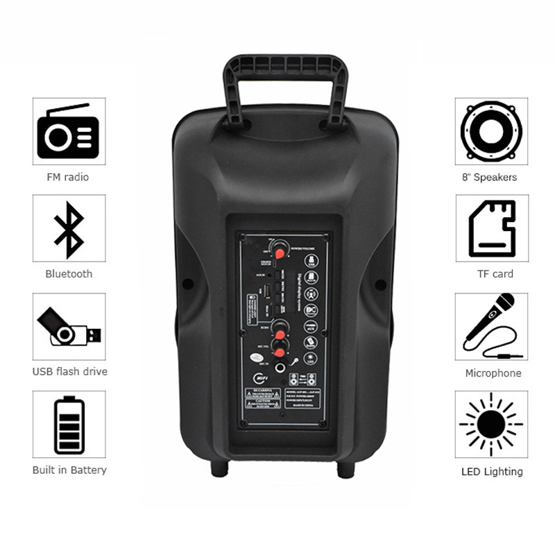 اسپیکر چمدانی بلوتوثی رم و فلش خور ALP-803 + میکروفن و ریموت کنترل