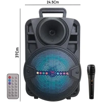اسپیکر چمدانی بلوتوثی رم و فلش خور ALP-803 + میکروفن و ریموت کنترل