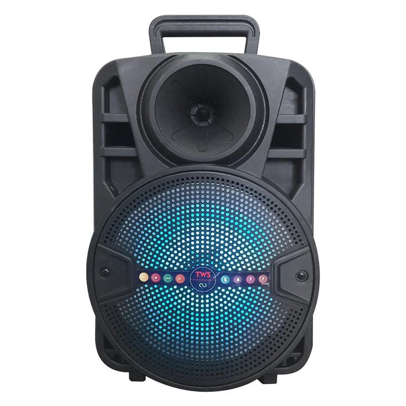 اسپیکر چمدانی بلوتوثی رم و فلش خور ALP-803 + میکروفن و ریموت کنترل
