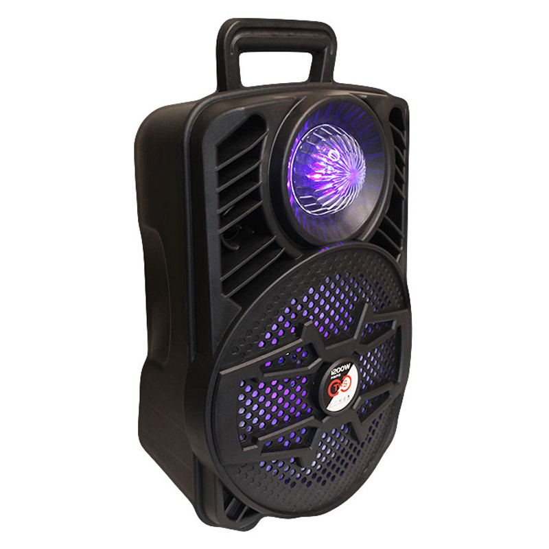 اسپیکر چمدانی بلوتوثی رم و فلش خور ALP-806 + میکروفون و ریموت کنترل