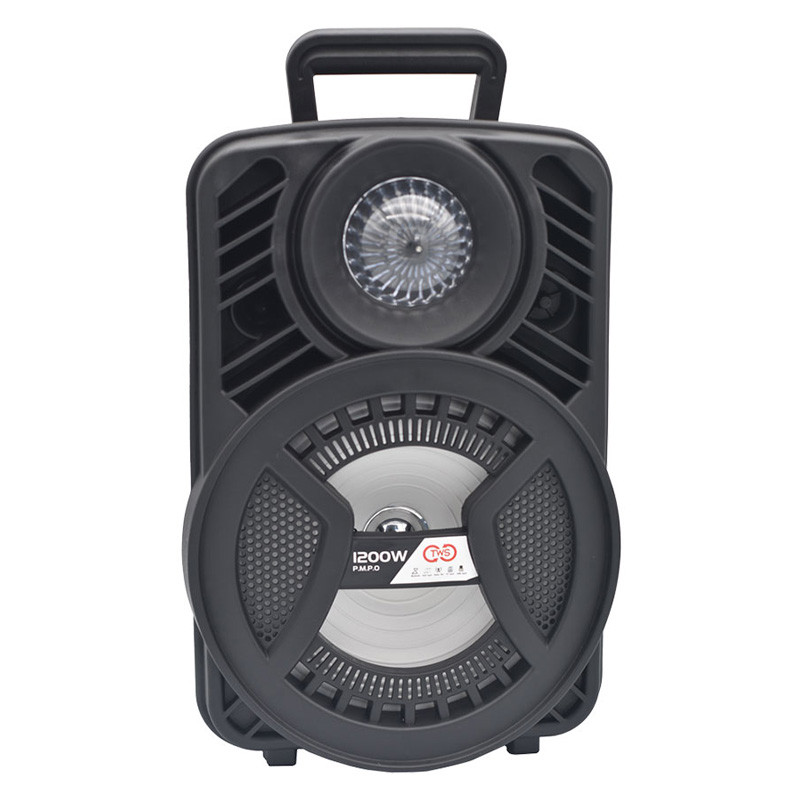 اسپیکر چمدانی بلوتوثی رم و فلش خور ALP-805 + میکروفون و ریموت کنترل