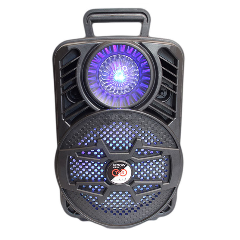 اسپیکر چمدانی بلوتوثی رم و فلش خور ALP-806 + میکروفون و ریموت کنترل