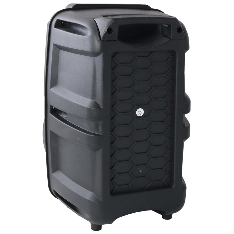 اسپیکر چمدانی بلوتوثی رم و فلش خور BDT BD-8009