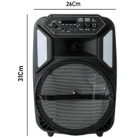 اسپیکر چمدانی بلوتوثی رم و فلش خور BDT BD-8009
