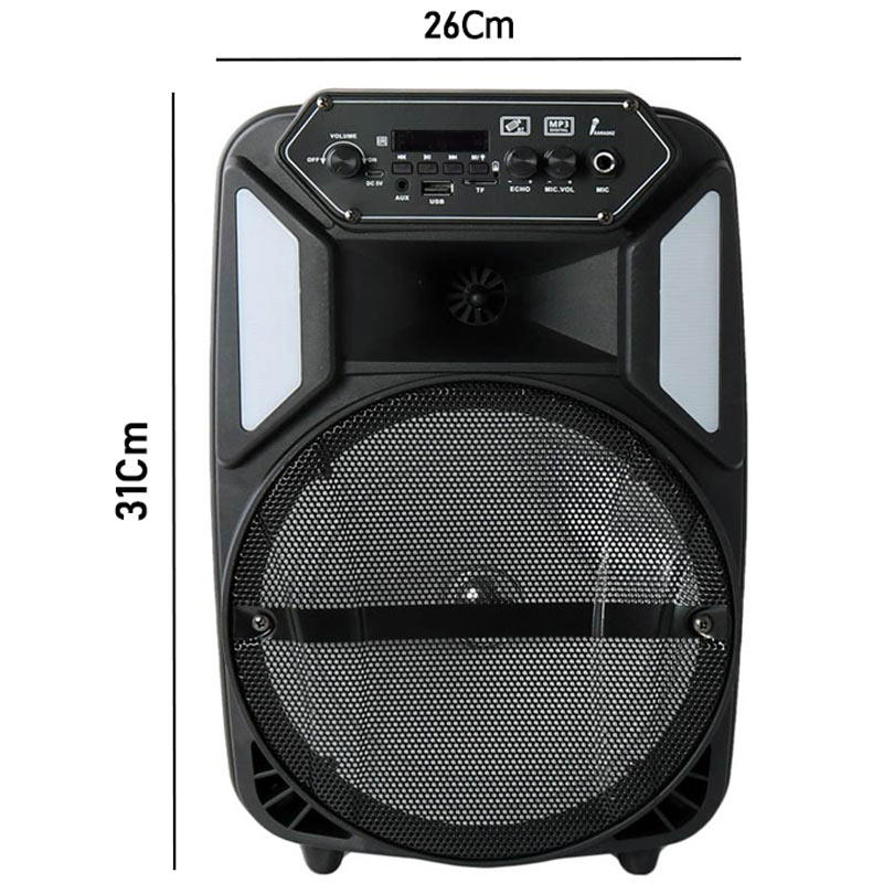اسپیکر چمدانی بلوتوثی رم و فلش خور BDT BD-8009