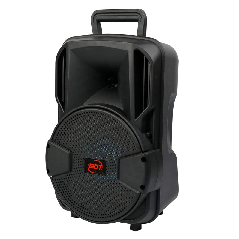 اسپیکر چمدانی بلوتوثی رم و فلش خور BDT BD-8019 + میکروفن و ریموت کنترل