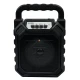 اسپیکر بلوتوثی رم و فلش خور HL-668W