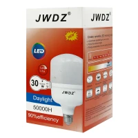 چراغ ماشینی 30 وات کلیددار JWDZ