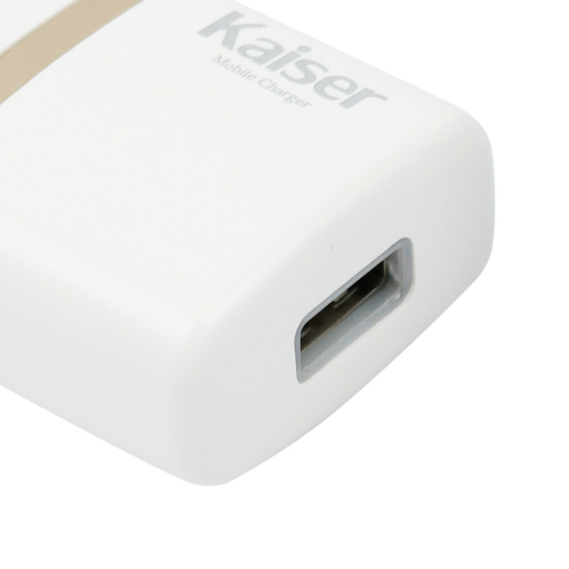 کلگی شارژ kaiser 2110 1A