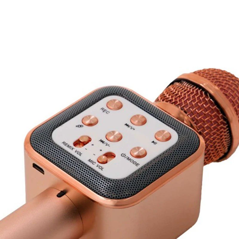 میکروفون اسپیکر پرووان PBM02 Series PMB66